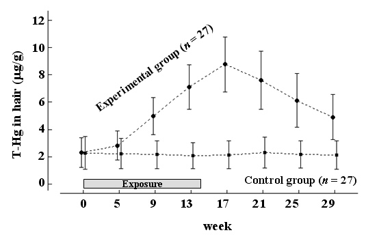 図１ マグロ摂食（メチル水銀曝露）群と対照群の毛髪総水銀濃度(T-Hg)の時間的経過
